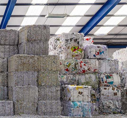 Agriculture/Forestry/Livestock 